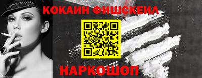 гидропоника Будённовск