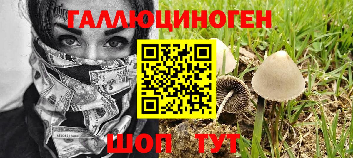 Галлюциногенные грибы прущие грибы  Вход с VPN  Самара  Псилоцибиновые грибы Magic Shrooms 